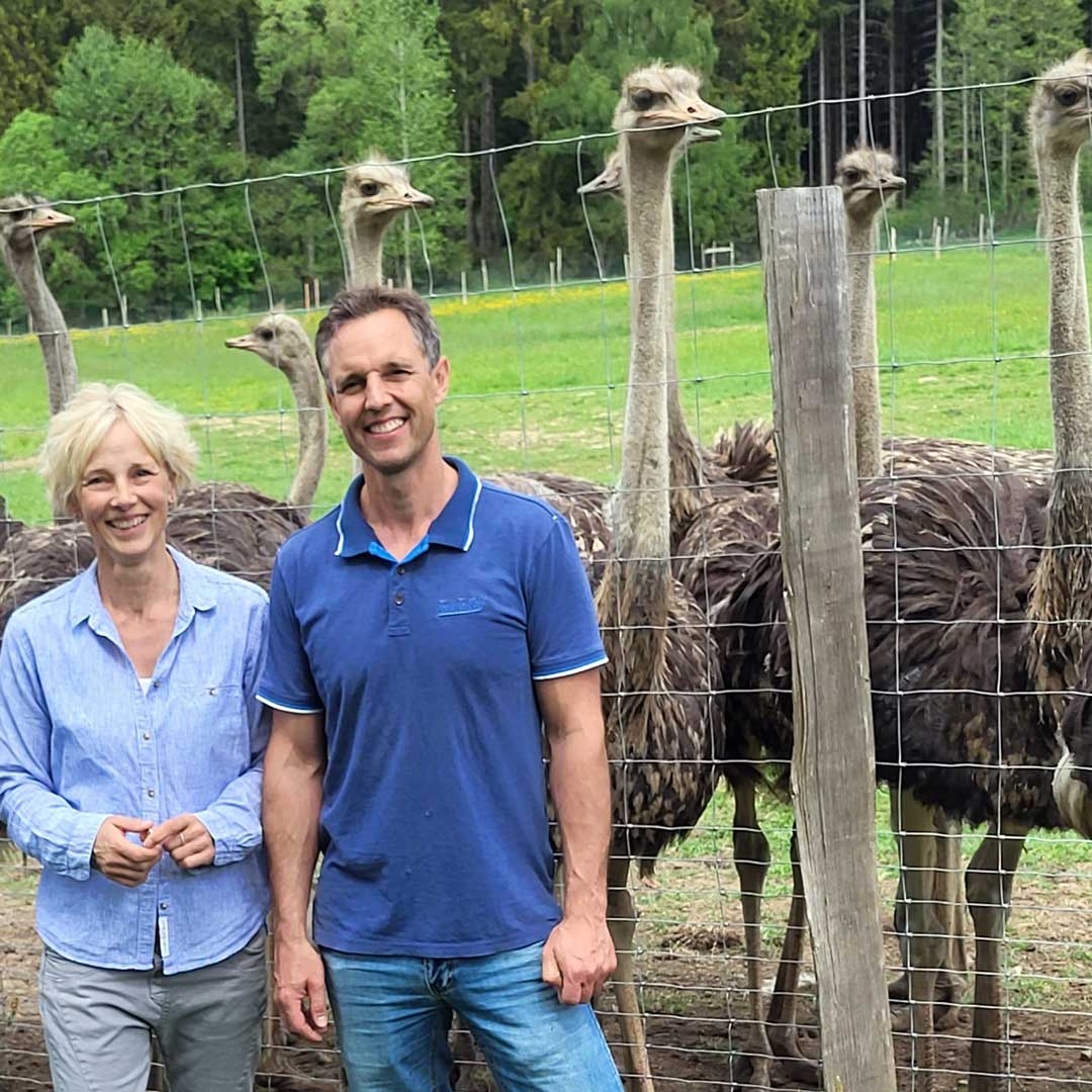 STRAUßENHOF-HOHENSAYN-01